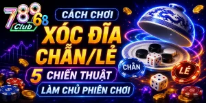 Cách Chơi Xóc Đĩa Chẵn/Lẻ | 5 Chiến Thuật Làm Chủ Phiên Chơi